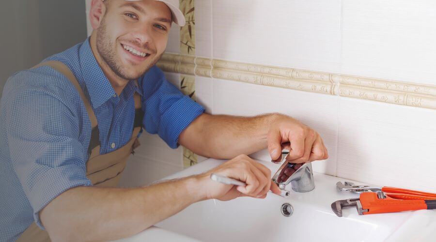 Professional Leak Detection Services services in Hoffman, MN